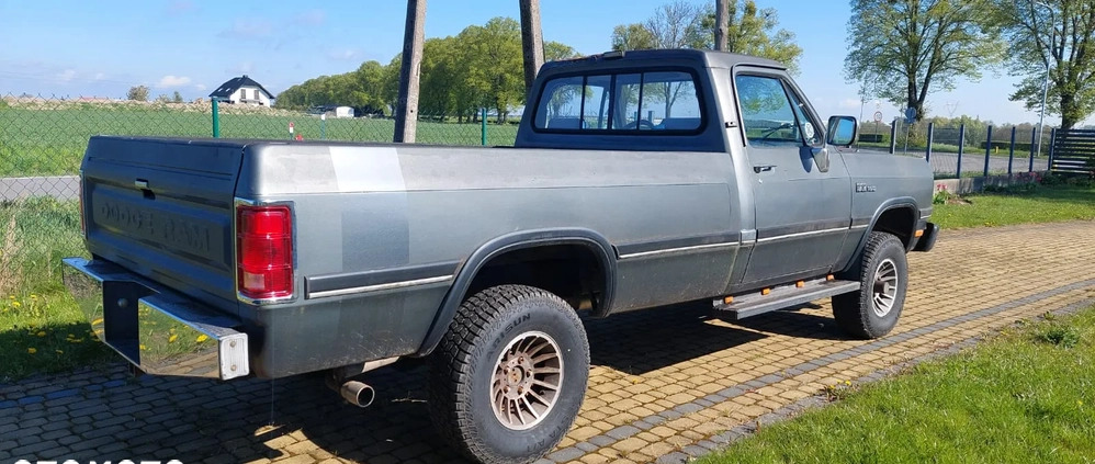 Dodge RAM cena 31000 przebieg: 209000, rok produkcji 1990 z Skwierzyna małe 92